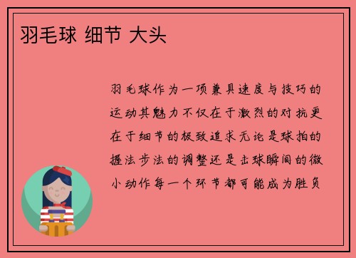 羽毛球 细节 大头
